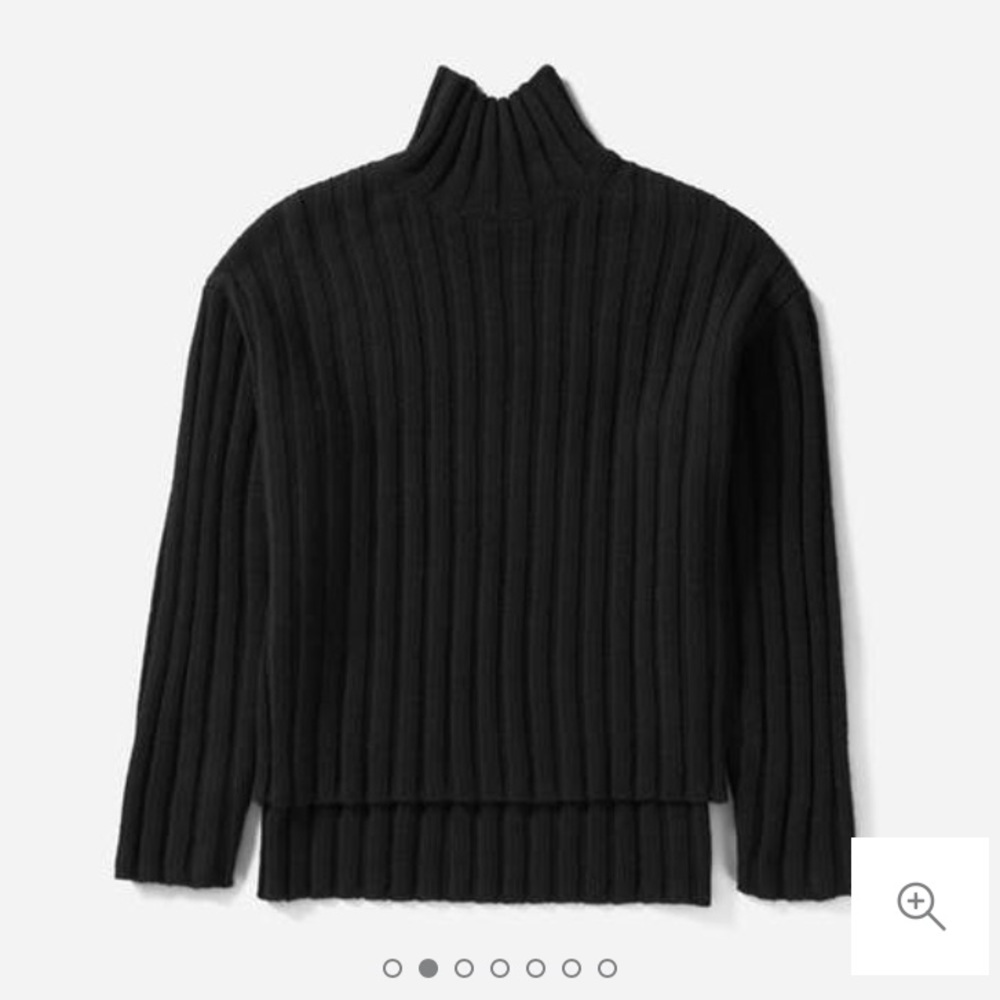 Everlane Wool Cashmere Rib Oversize Turtleneck